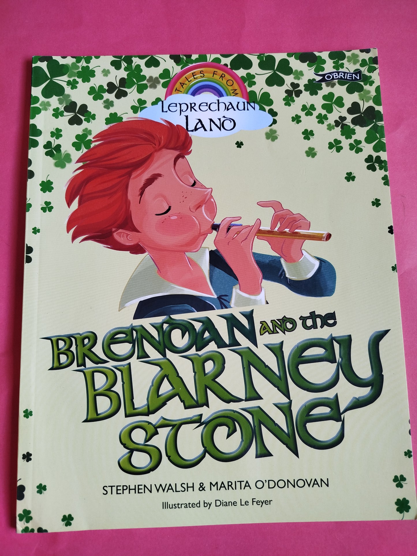 Brendan and the Blarney Stone