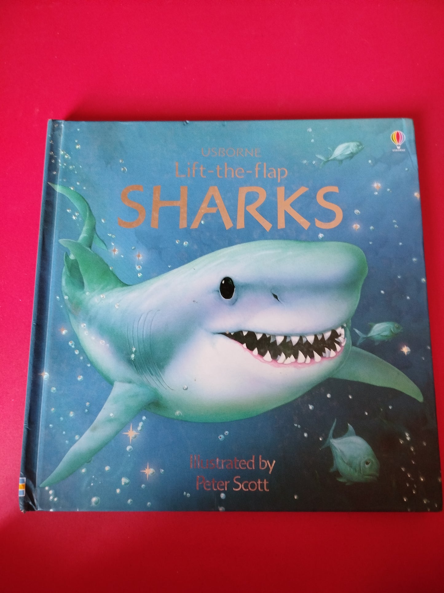 Sharks (Usborne Lift-the-Flap Learners)