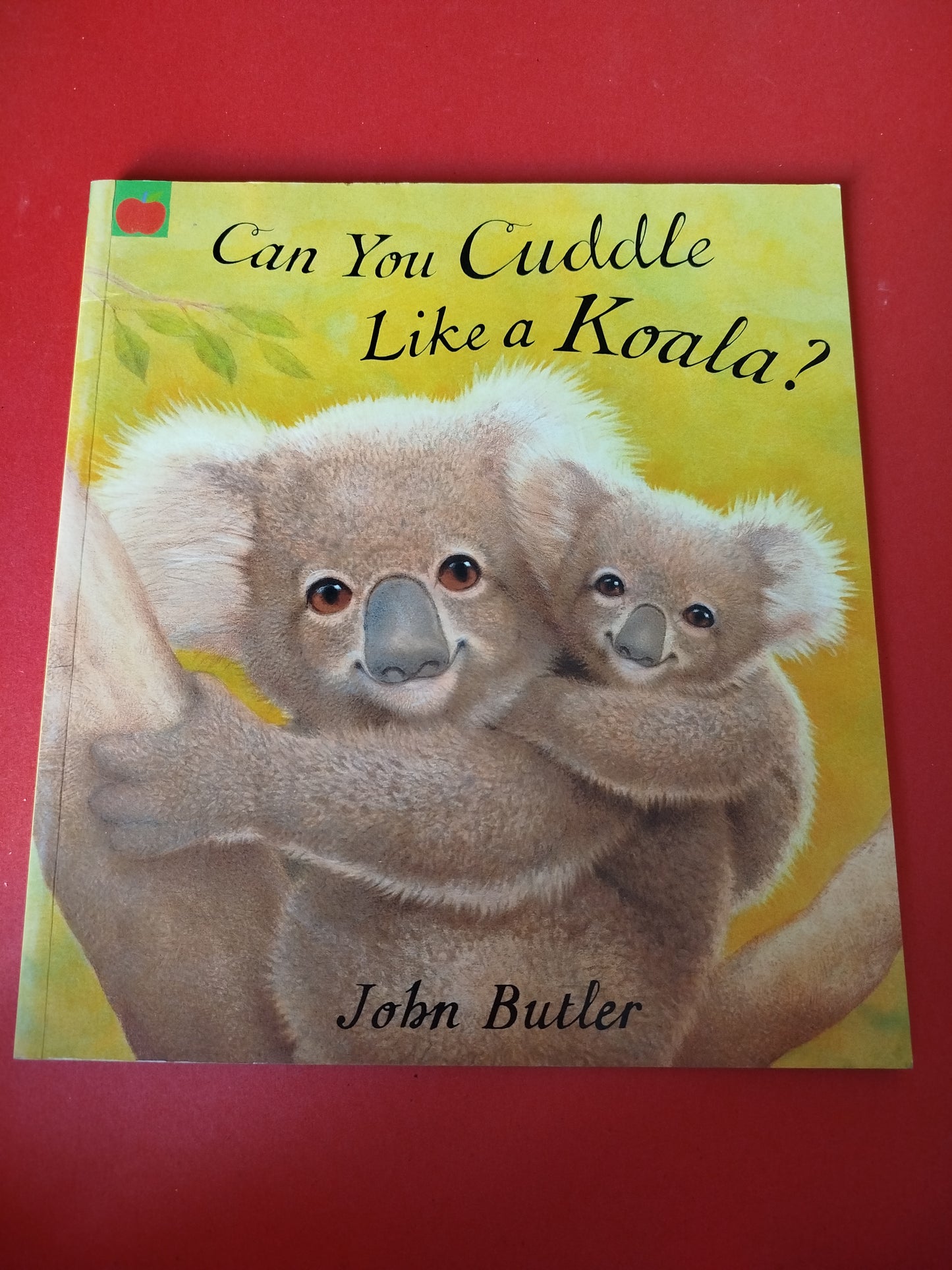 Can You Cuddle Like a Koala?