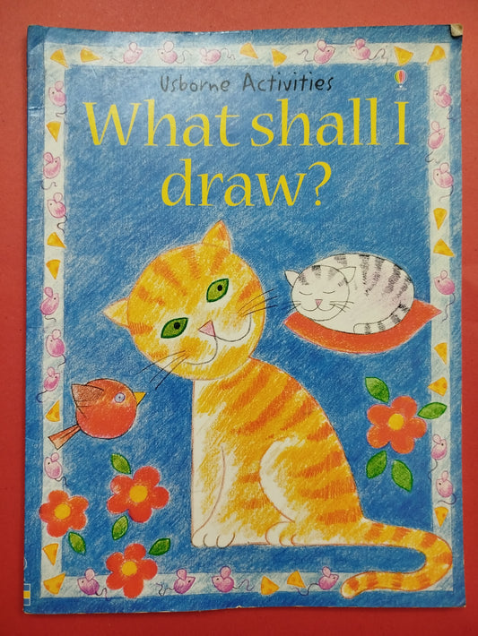 Usborne What Shall I Draw