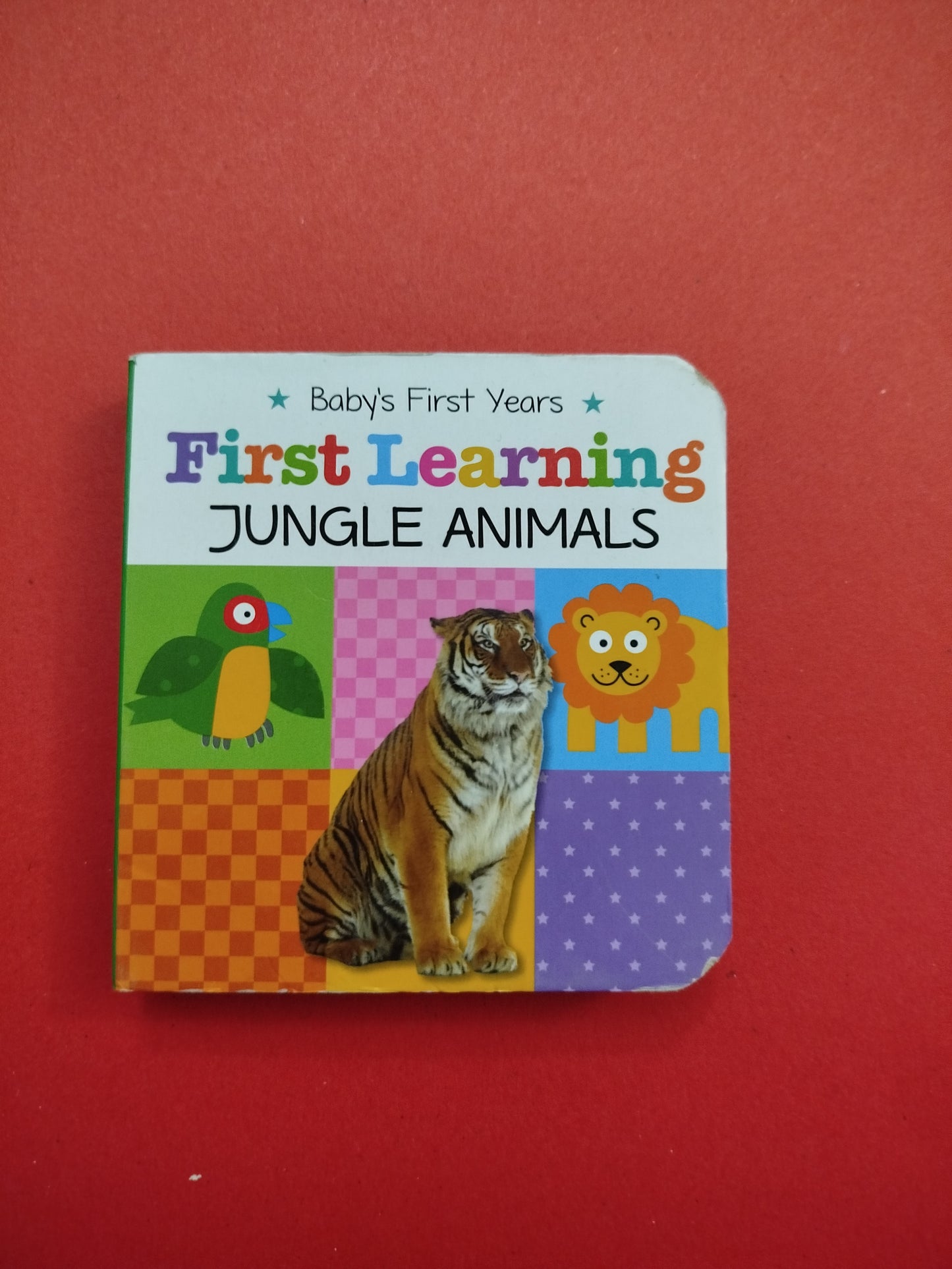 First Learning Jungle Animals